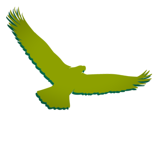 Ascension Strategy Solutions